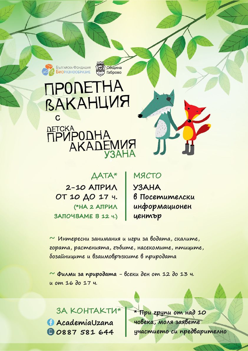 Снимка за 4960