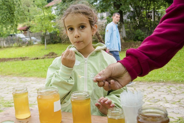 Снимка за ХІV Национален пчеларски събор в ЕМО „Етър“
