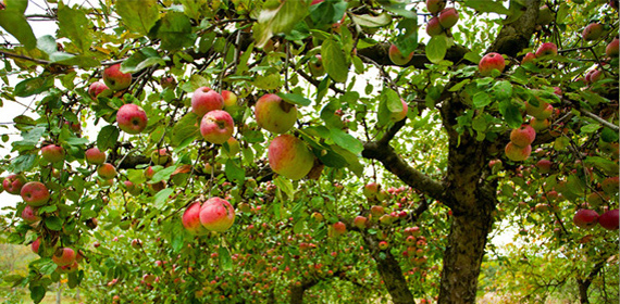 Снимка за 5313