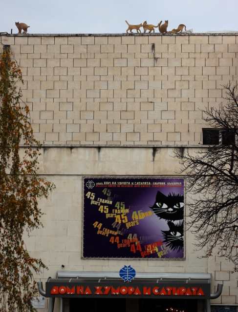 Снимка за 5768