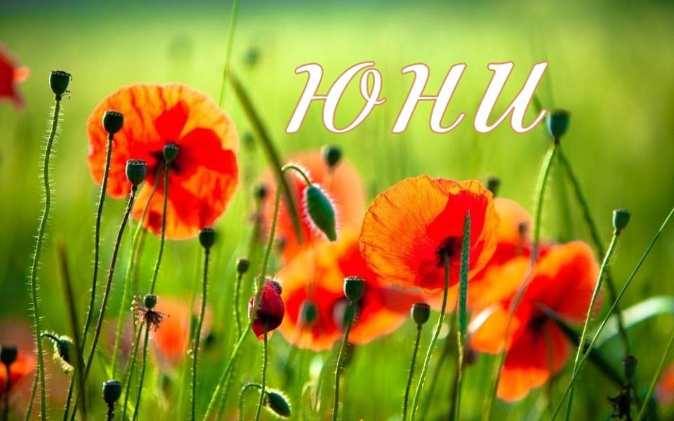 Снимка за 6909