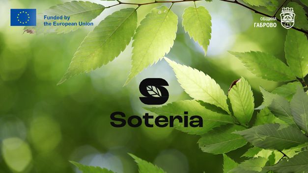 Снимка за 12770