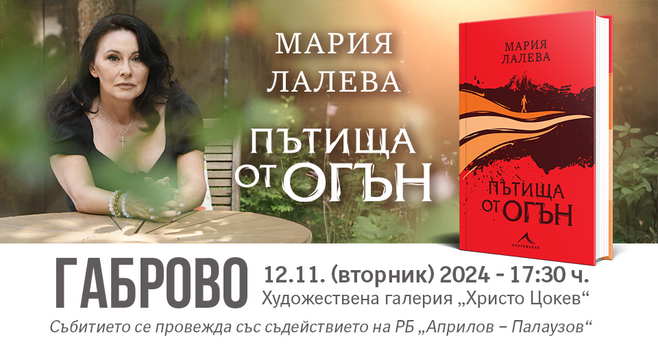 Снимка за 13065