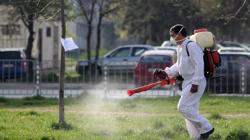 Снимка за 13553