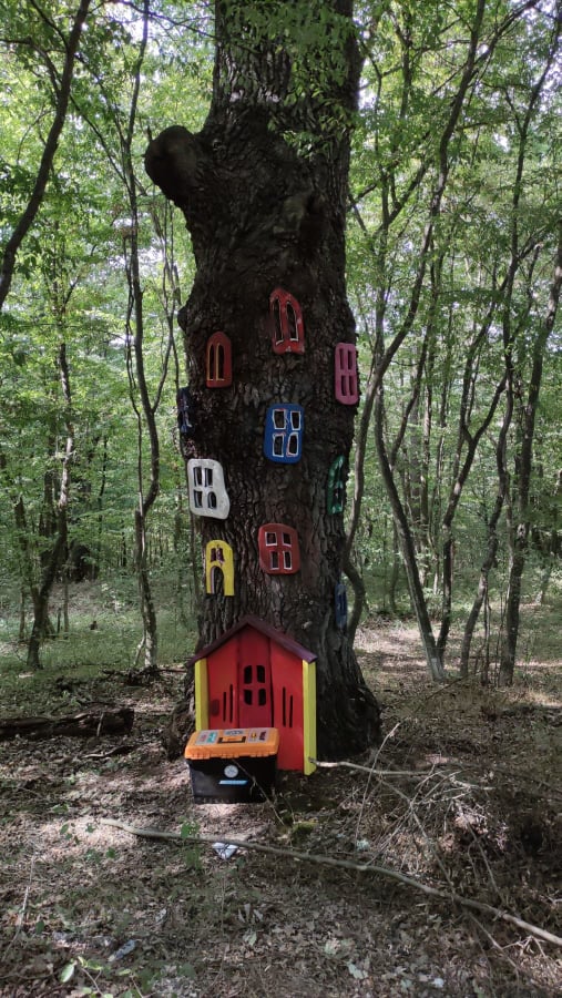 Снимка за 10586