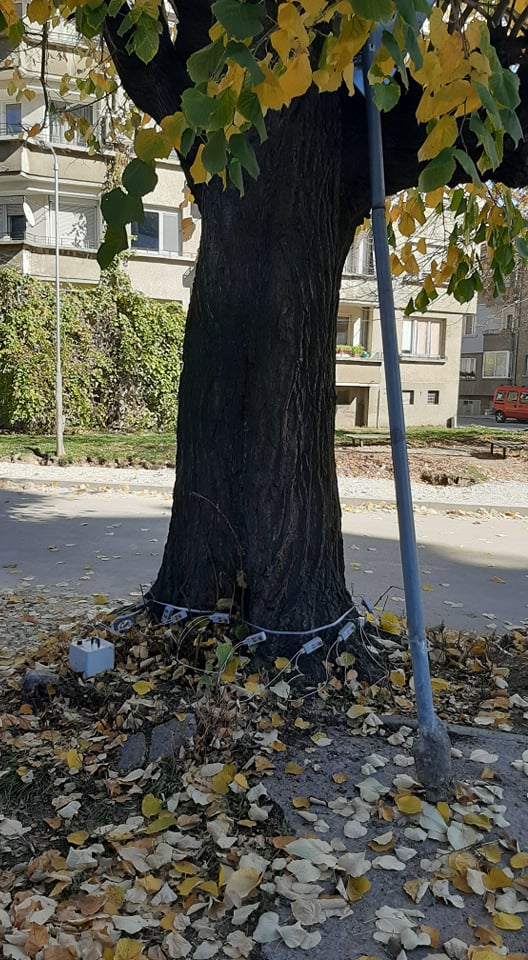 Снимка за 10963