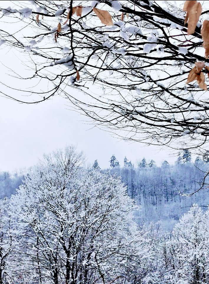 Снимка за Минус 7 градуса е температурата тази сутрин на ...