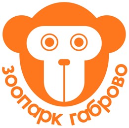 Снимка за 8697