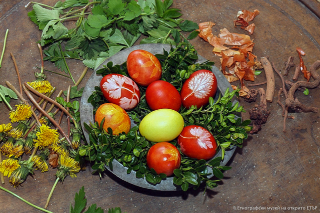 Снимка за Как се боядисват яйца с естествени багрила в ЕМ...