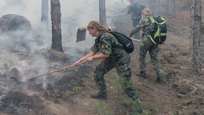 Снимка за 6233