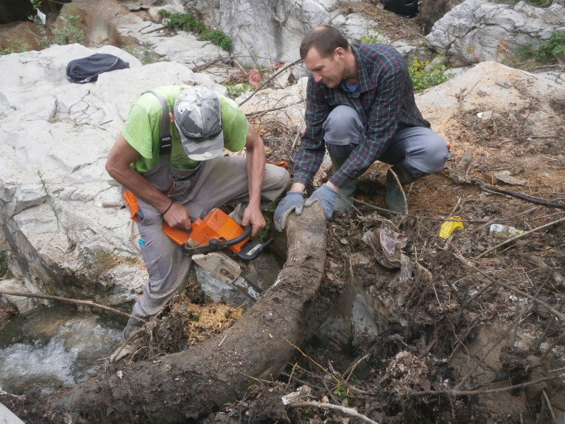 Снимка за 6794