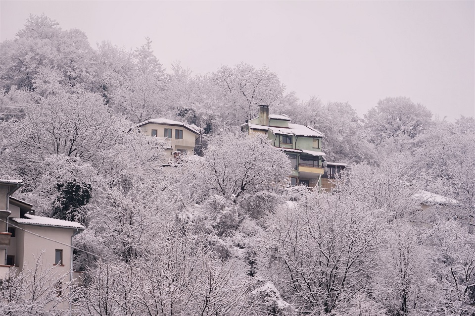 Снимка за 13072