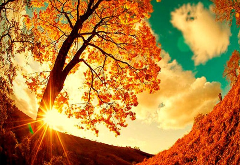 Снимка за 6276