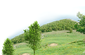 Снимка за Екология